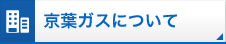 京葉ガスについて