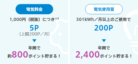 電気料金　1,000円（税抜）につき※3　5P（上限200P／月）　年間で約800ポイント貯まる！　電気使用量　301kWh／月以上のご使用で200P　年間で2,400ポイント貯まる！