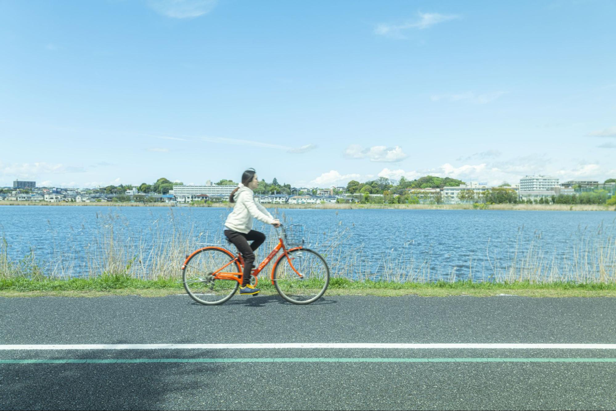 手賀沼を走ろう！「レンタサイクル」で風を感じる旅