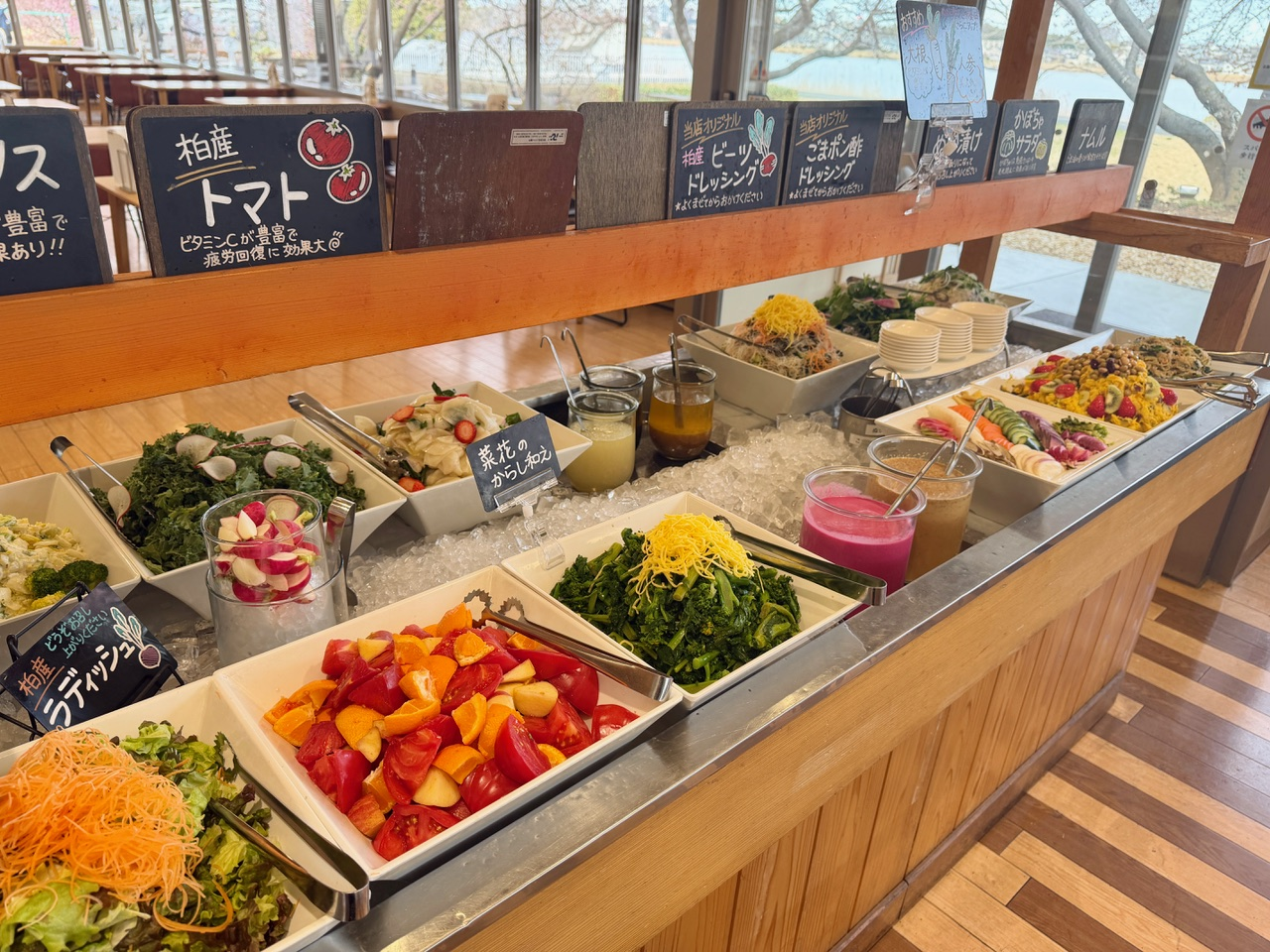 サラダバーが人気!隣接施設「野菜レストランSHONAN」